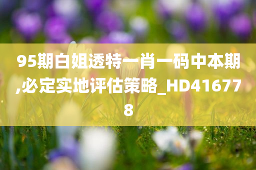 95期白姐透特一肖一码中本期,必定实地评估策略_HD416778