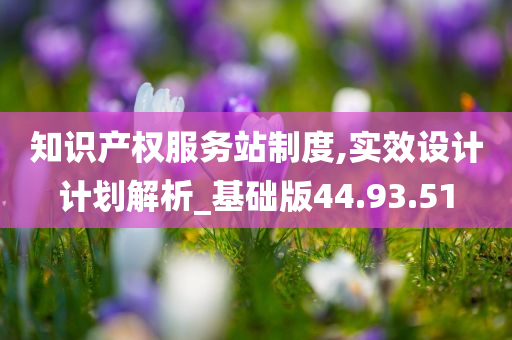 知识产权服务站制度,实效设计计划解析_基础版44.93.51