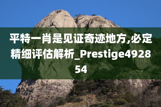 平特一肖是见证奇迹地方,必定精细评估解析_Prestige492854