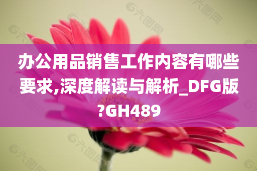 办公用品销售工作内容有哪些要求,深度解读与解析_DFG版?GH489