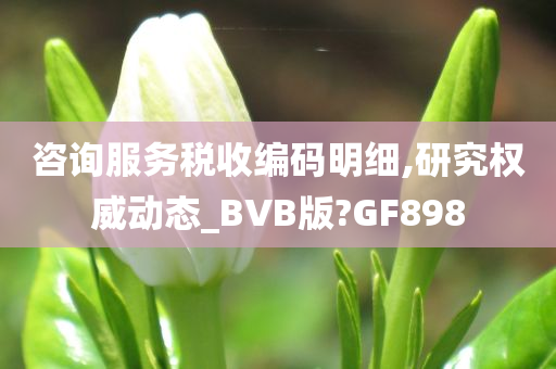 咨询服务税收编码明细,研究权威动态_BVB版?GF898