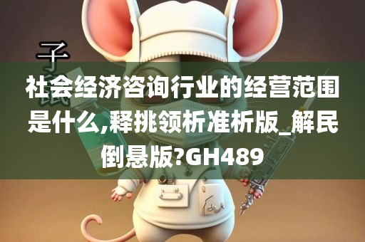 社会经济咨询行业的经营范围是什么,释挑领析准析版_解民倒悬版?GH489