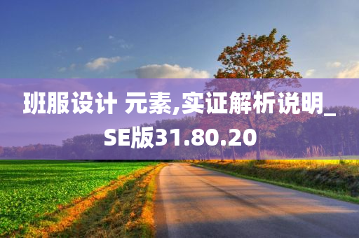 班服设计 元素,实证解析说明_SE版31.80.20