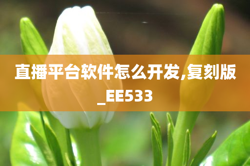 直播平台软件怎么开发,复刻版_EE533