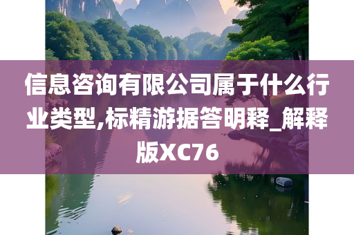 信息咨询有限公司属于什么行业类型,标精游据答明释_解释版XC76