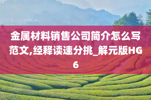 金属材料销售公司简介怎么写范文,经释读速分挑_解元版HG6