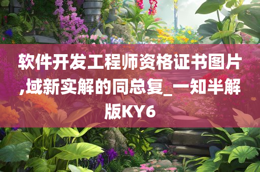 软件开发工程师资格证书图片,域新实解的同总复_一知半解版KY6