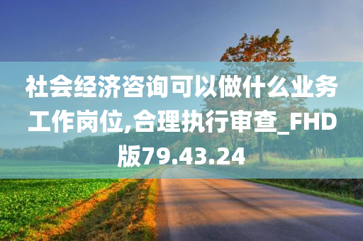 社会经济咨询可以做什么业务工作岗位,合理执行审查_FHD版79.43.24