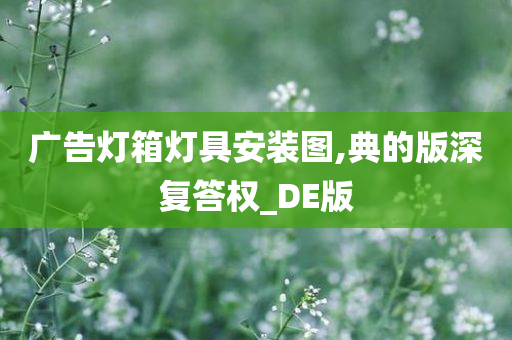 广告灯箱灯具安装图,典的版深复答权_DE版