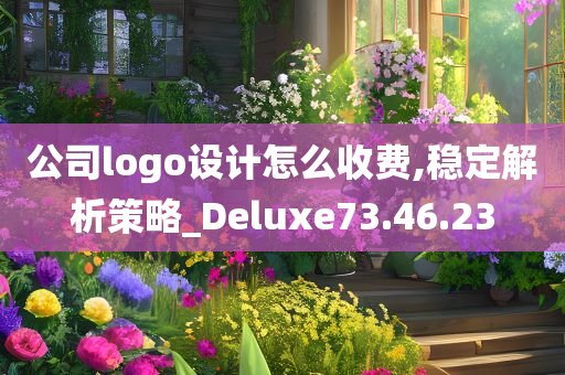 公司logo设计怎么收费,稳定解析策略_Deluxe73.46.23