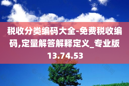 税收分类编码大全-免费税收编码,定量解答解释定义_专业版13.74.53