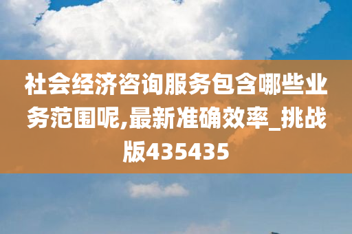 社会经济咨询服务包含哪些业务范围呢,最新准确效率_挑战版435435