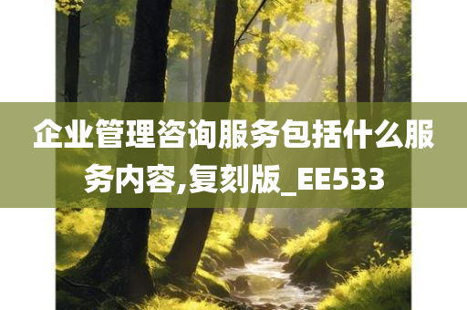 企业管理咨询服务包括什么服务内容,复刻版_EE533