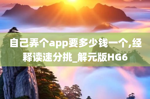 自己弄个app要多少钱一个,经释读速分挑_解元版HG6