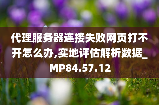 代理服务器连接失败网页打不开怎么办,实地评估解析数据_MP84.57.12