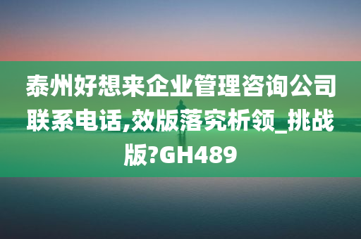 泰州好想来企业管理咨询公司联系电话,效版落究析领_挑战版?GH489