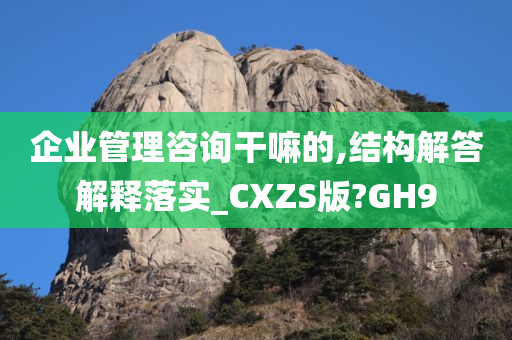 企业管理咨询干嘛的,结构解答解释落实_CXZS版?GH9