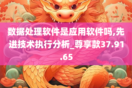 数据处理软件是应用软件吗,先进技术执行分析_尊享款37.91.65