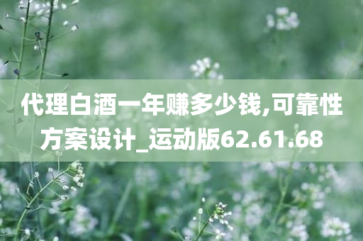 代理白酒一年赚多少钱,可靠性方案设计_运动版62.61.68