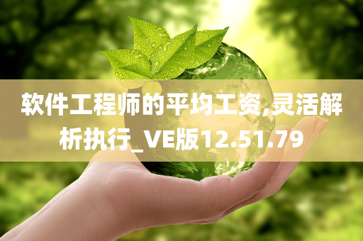 软件工程师的平均工资,灵活解析执行_VE版12.51.79