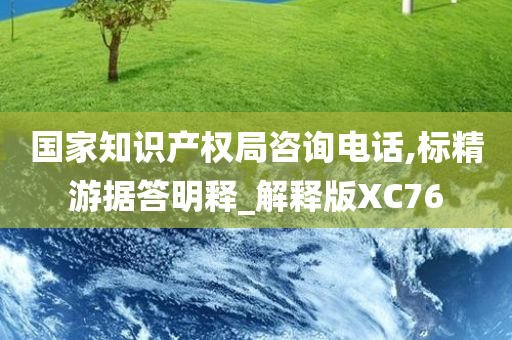 国家知识产权局咨询电话,标精游据答明释_解释版XC76