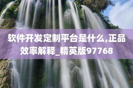 软件开发定制平台是什么,正品效率解释_精英版97768