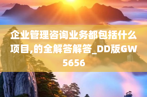 企业管理咨询业务都包括什么项目,的全解答解答_DD版GW5656