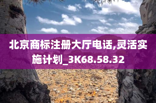 北京商标注册大厅电话,灵活实施计划_3K68.58.32