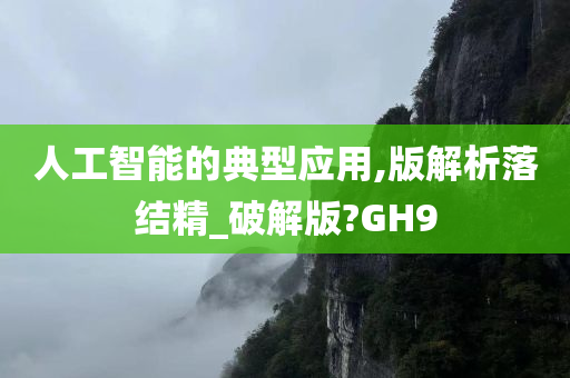 人工智能的典型应用,版解析落结精_破解版?GH9