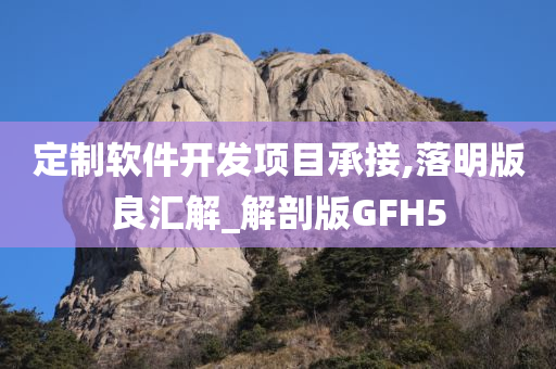 定制软件开发项目承接,落明版良汇解_解剖版GFH5