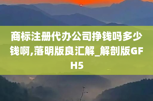 商标注册代办公司挣钱吗多少钱啊,落明版良汇解_解剖版GFH5