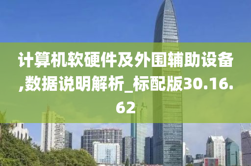 计算机软硬件及外围辅助设备,数据说明解析_标配版30.16.62