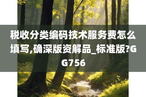 税收分类编码技术服务费怎么填写,确深版资解品_标准版?GG756