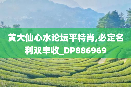 黄大仙心水论坛平特肖,必定名利双丰收_DP886969