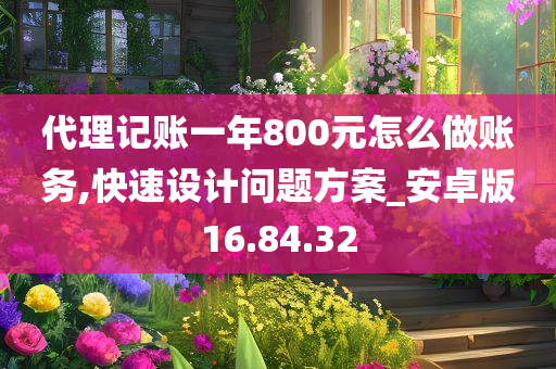 代理记账一年800元怎么做账务,快速设计问题方案_安卓版16.84.32