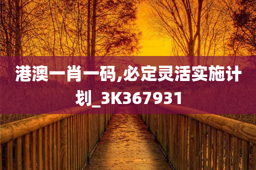 港澳一肖一码,必定灵活实施计划_3K367931