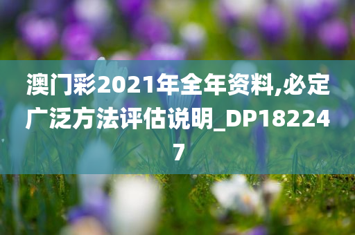 澳门彩2021年全年资料,必定广泛方法评估说明_DP182247