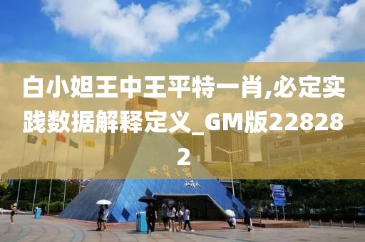 白小妲王中王平特一肖,必定实践数据解释定义_GM版228282