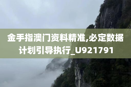 金手指澳门资料精准,必定数据计划引导执行_U921791