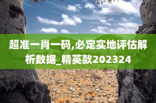 超准一肖一码,必定实地评估解析数据_精英款202324