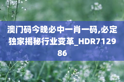 澳门码今晚必中一肖一码,必定独家揭秘行业变革_HDR712986