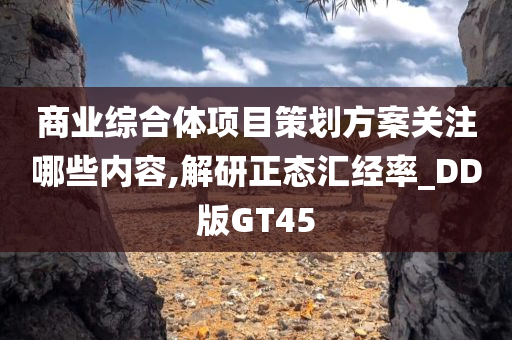 商业综合体项目策划方案关注哪些内容,解研正态汇经率_DD版GT45