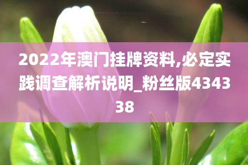 2022年澳门挂牌资料,必定实践调查解析说明_粉丝版434338