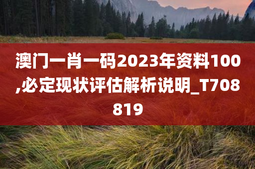 澳门一肖一码2023年资料100,必定现状评估解析说明_T708819