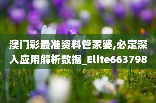 澳门彩最准资料管家婆,必定深入应用解析数据_Elite663798