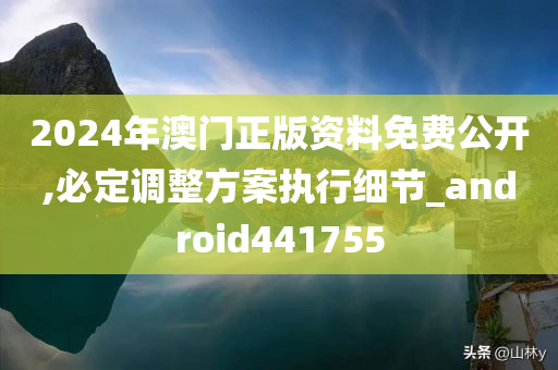 2024年澳门正版资料免费公开,必定调整方案执行细节_android441755