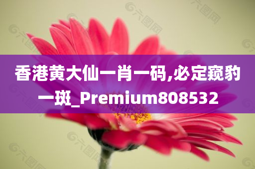 香港黄大仙一肖一码,必定窥豹一斑_Premium808532