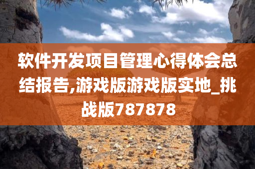 软件开发项目管理心得体会总结报告,游戏版游戏版实地_挑战版787878