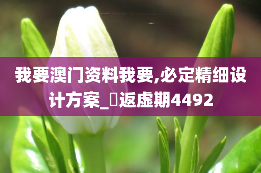 我要澳门资料我要,必定精细设计方案_‌返虚期4492