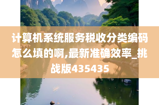 计算机系统服务税收分类编码怎么填的啊,最新准确效率_挑战版435435